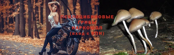 прущий лед Кулебаки