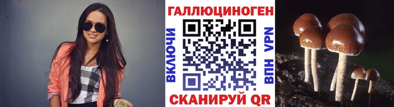 Купить закладки  Лысково  Псилоцибиновые грибы Psilocybine cubensis 